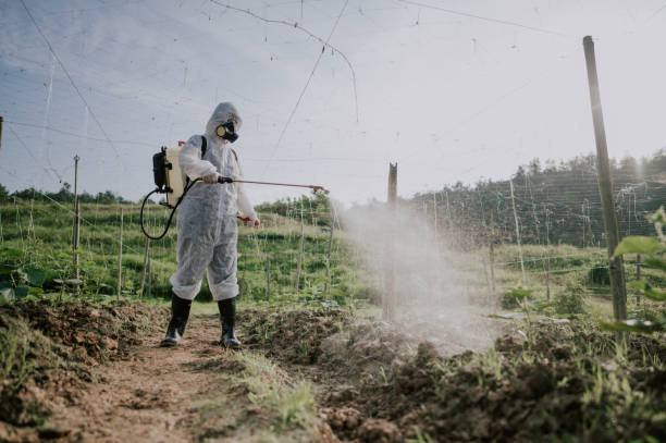 Best Best Pest Control Companies  in Und City, MO
