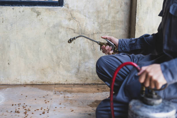 Best Pest Prevention Services  in Und City, MO